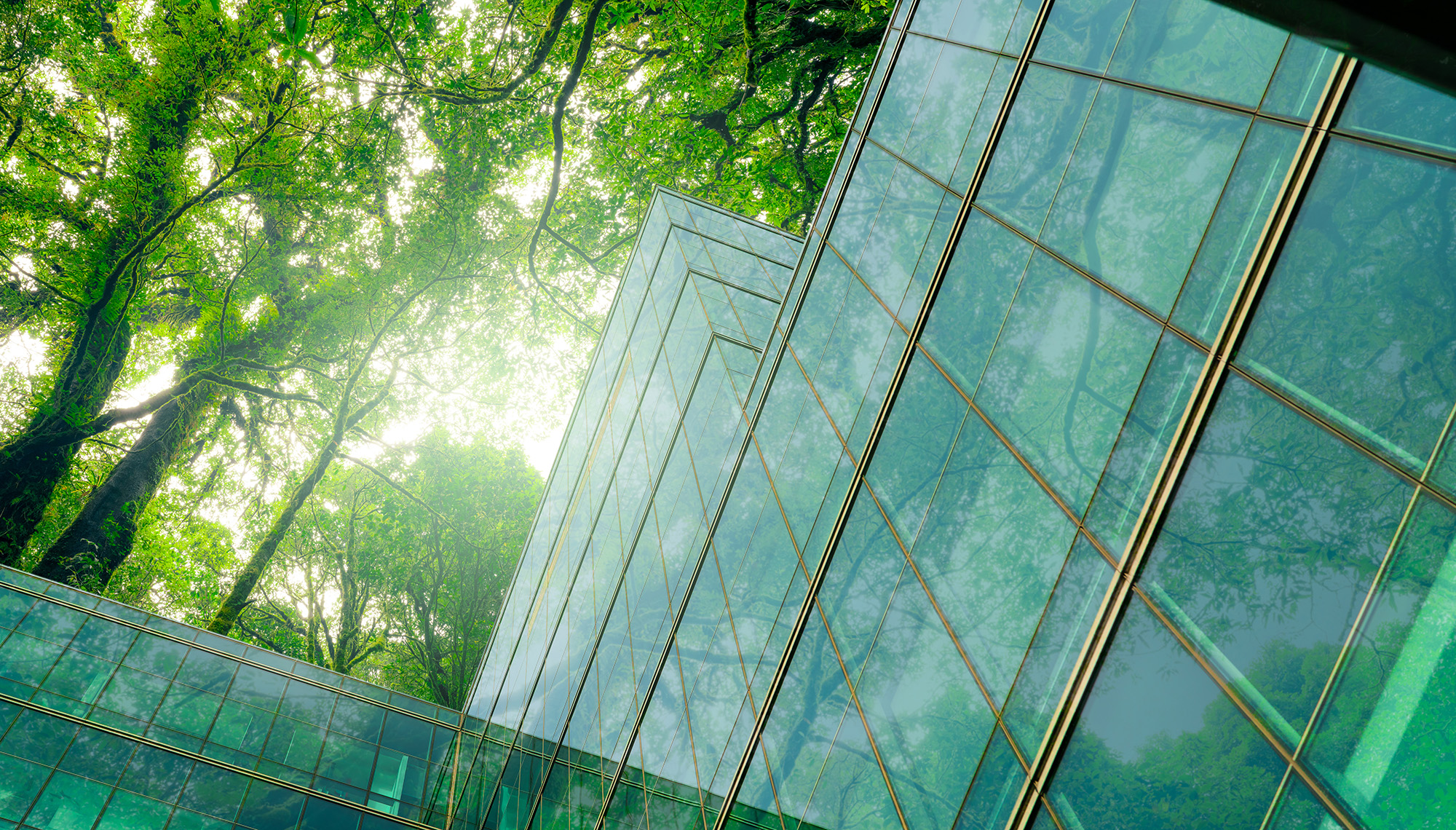 clădire modernă cu copaci reflectați