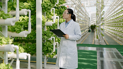 expert științific cu tabletă, în seră