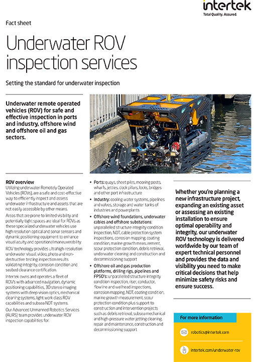 small version of a marketing brochure with text and photos